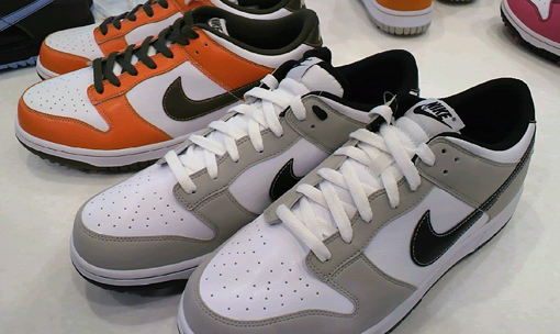 nike-dunk1